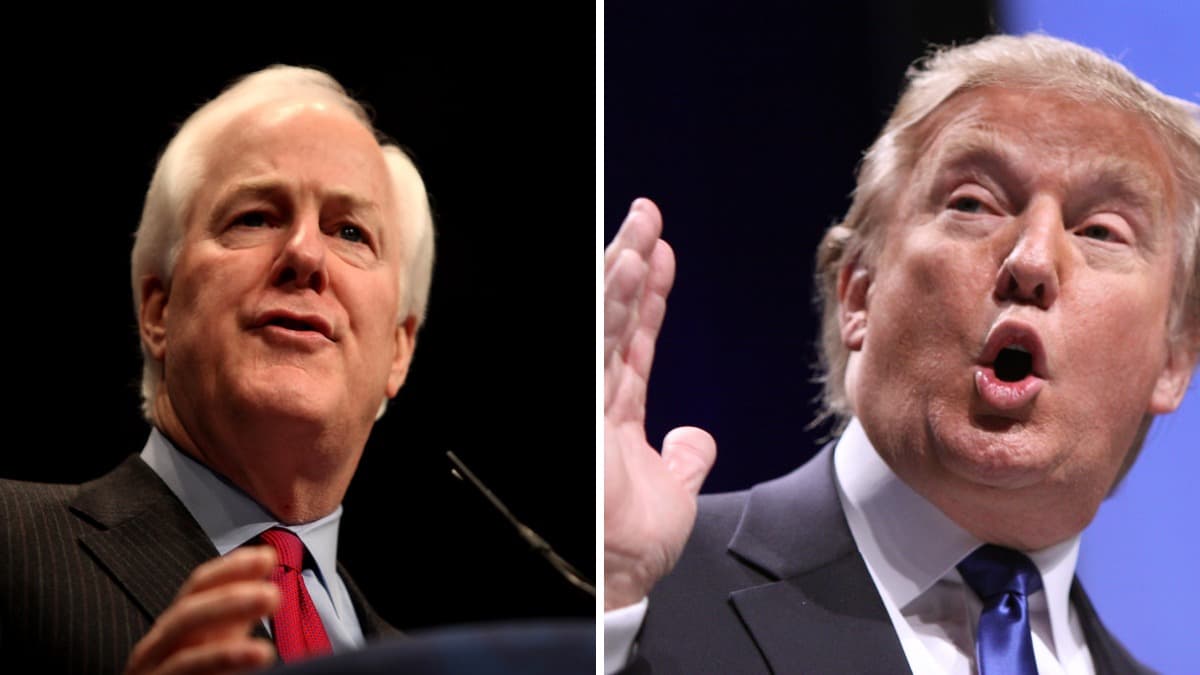 John Cornyn claims Trump 'seems to revel in chaos,' and he's pointing at the recent moves regarding the DNI appointment