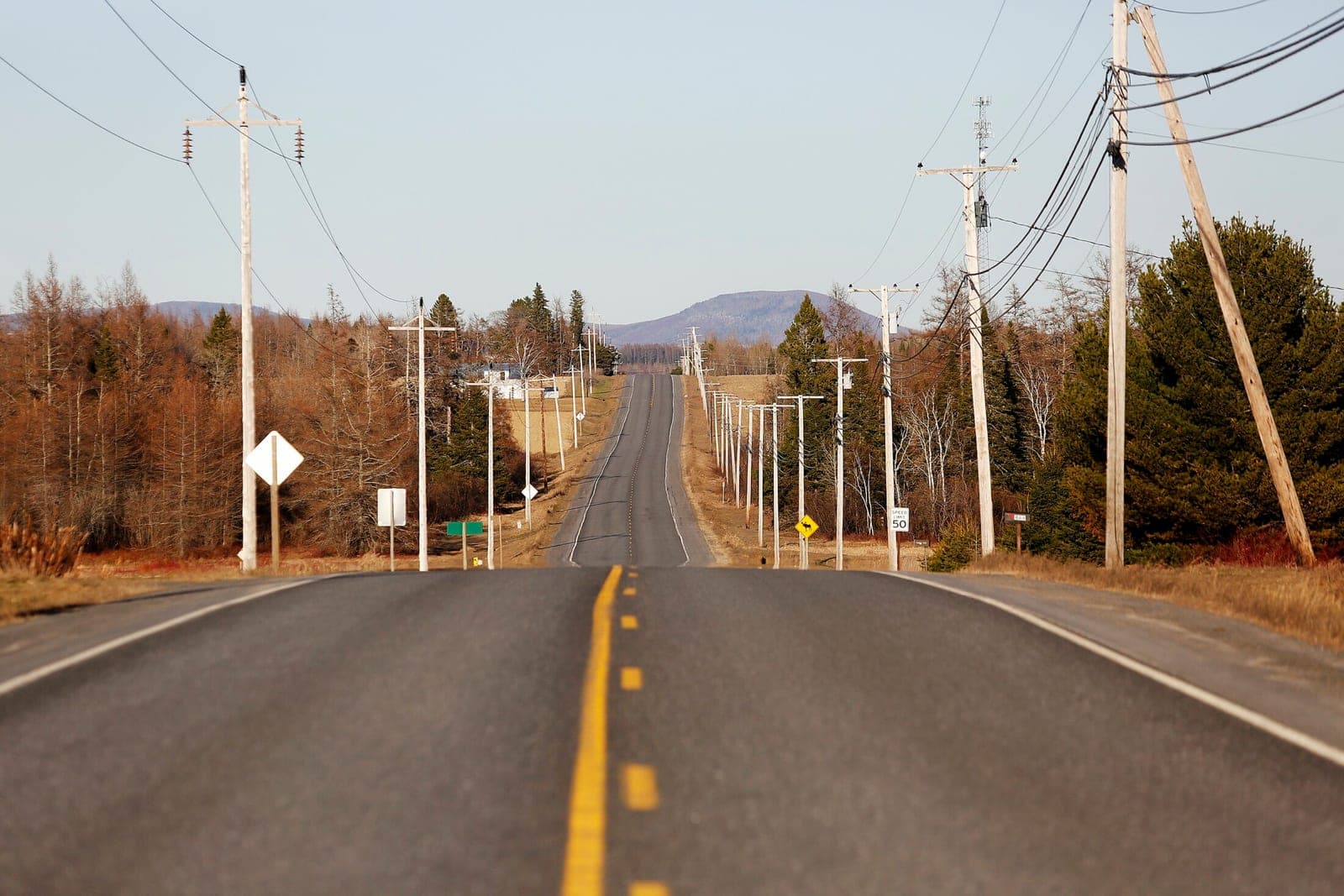 Susan Collins has scant claim to 'County roots'
