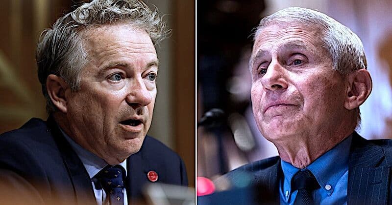 GOP senators see path for Fauci prosecution through IRS official's similar Fifth Amendment flub