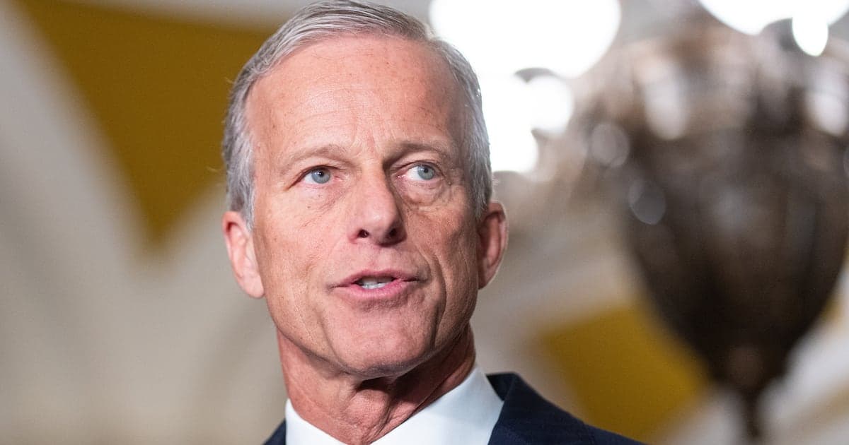 GOP Senator John Thune Gives Trump's Bonkers Plot a Reality Check
