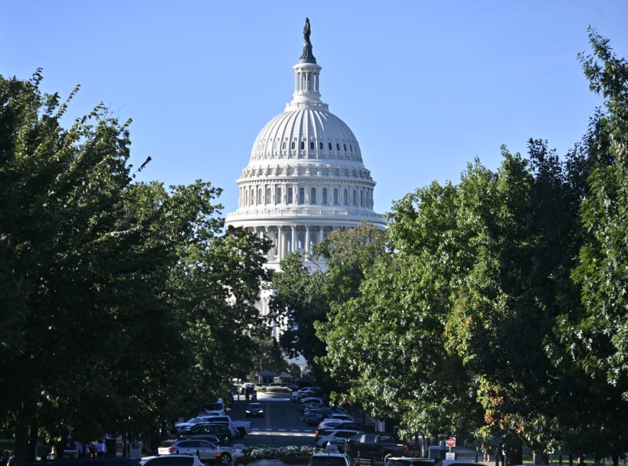 Senate Democrats Block Effort to Give Dr. Fauci's Former Assistant Immunity