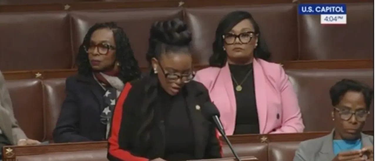 Jasmine Crockett's Attempt To Burn Lee Zeldin Over Epstein Blows Up In Her Face