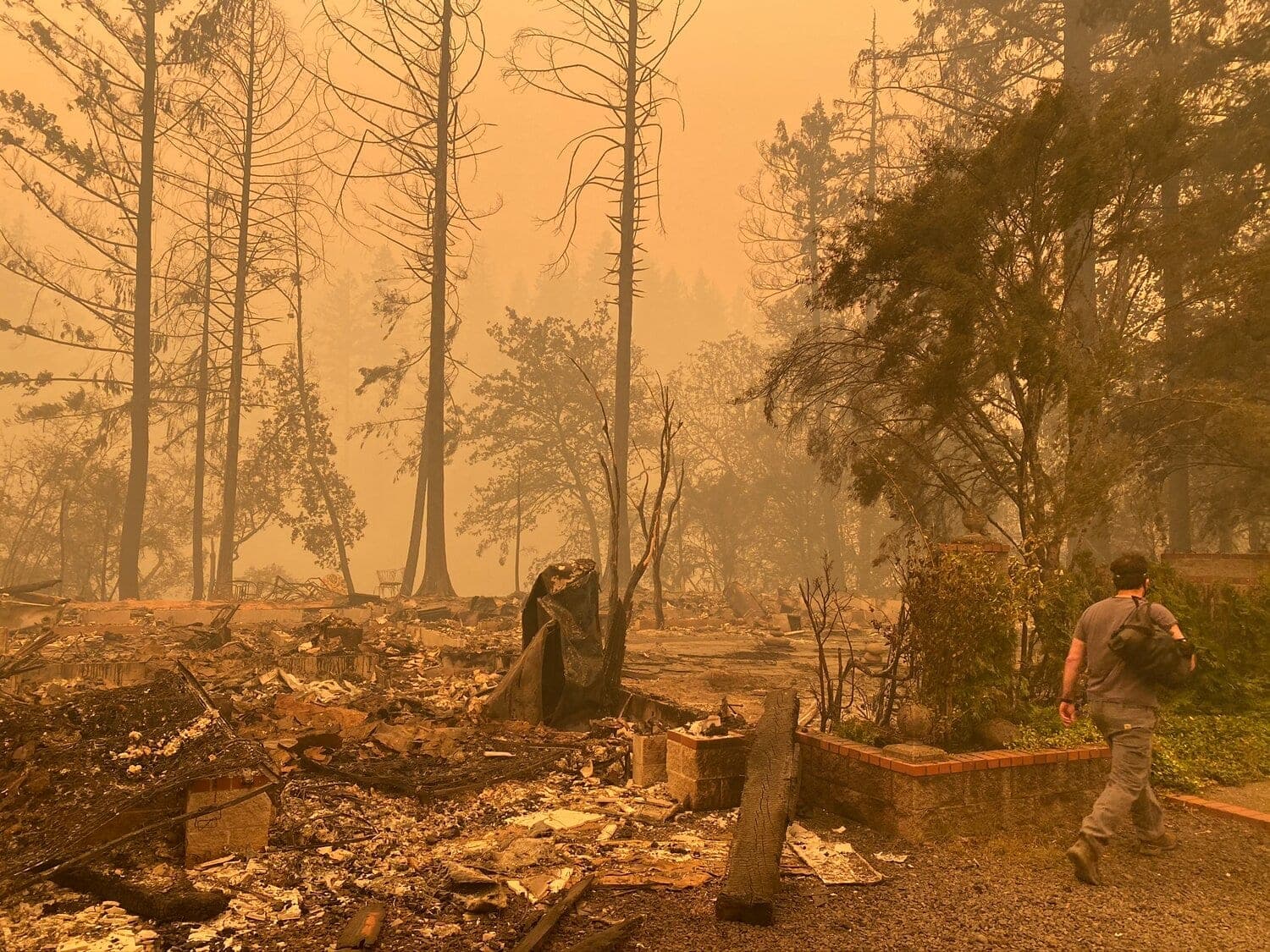 Sen. Wyden's wildfire tax relief bill passes just before Congress recesses, goes to White House