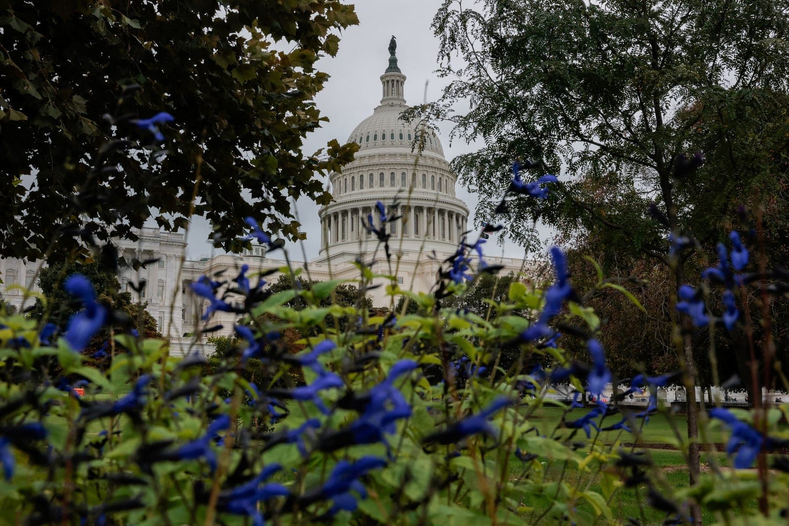 Senate reaches bipartisan deal on permitting bill to speed approvals of new energy projects