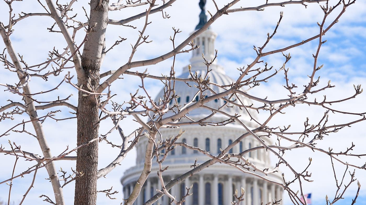 Four senators now running for governor: Who are they?