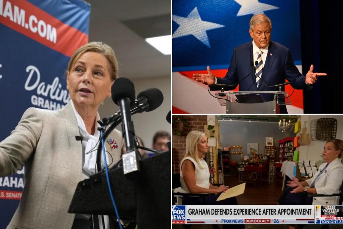 Darline Graham insists voters aren't concerned about Taiwan: 'Worried about the price of groceries'