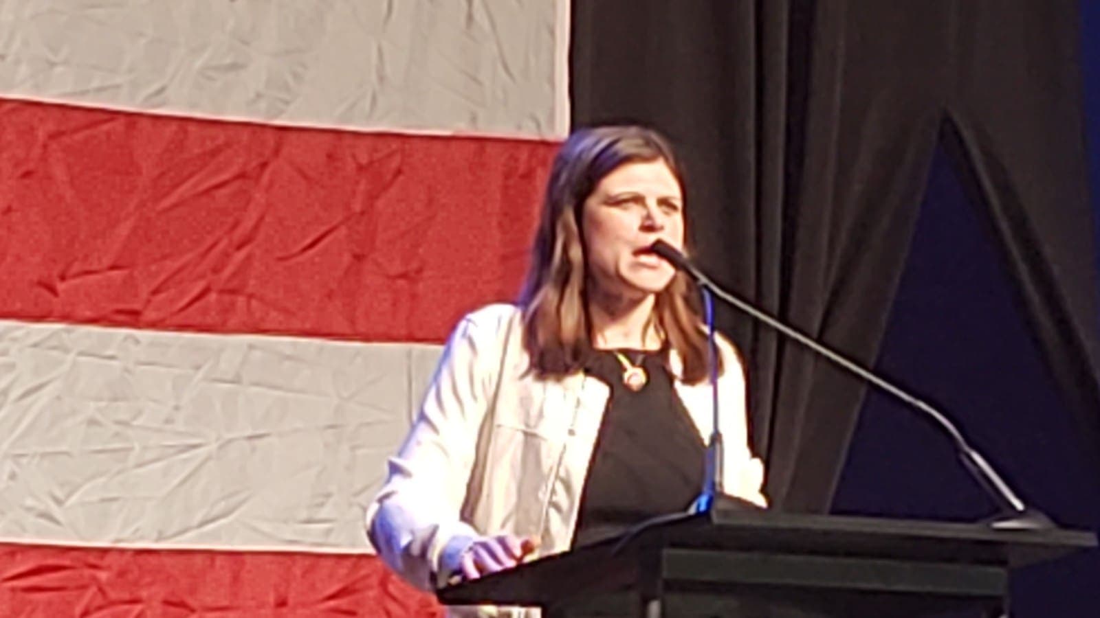 Michigan Democrat Convention Goes Off the Rails as Pro-Israel Senate Candidate Gets Shouted Down by Her Own Party