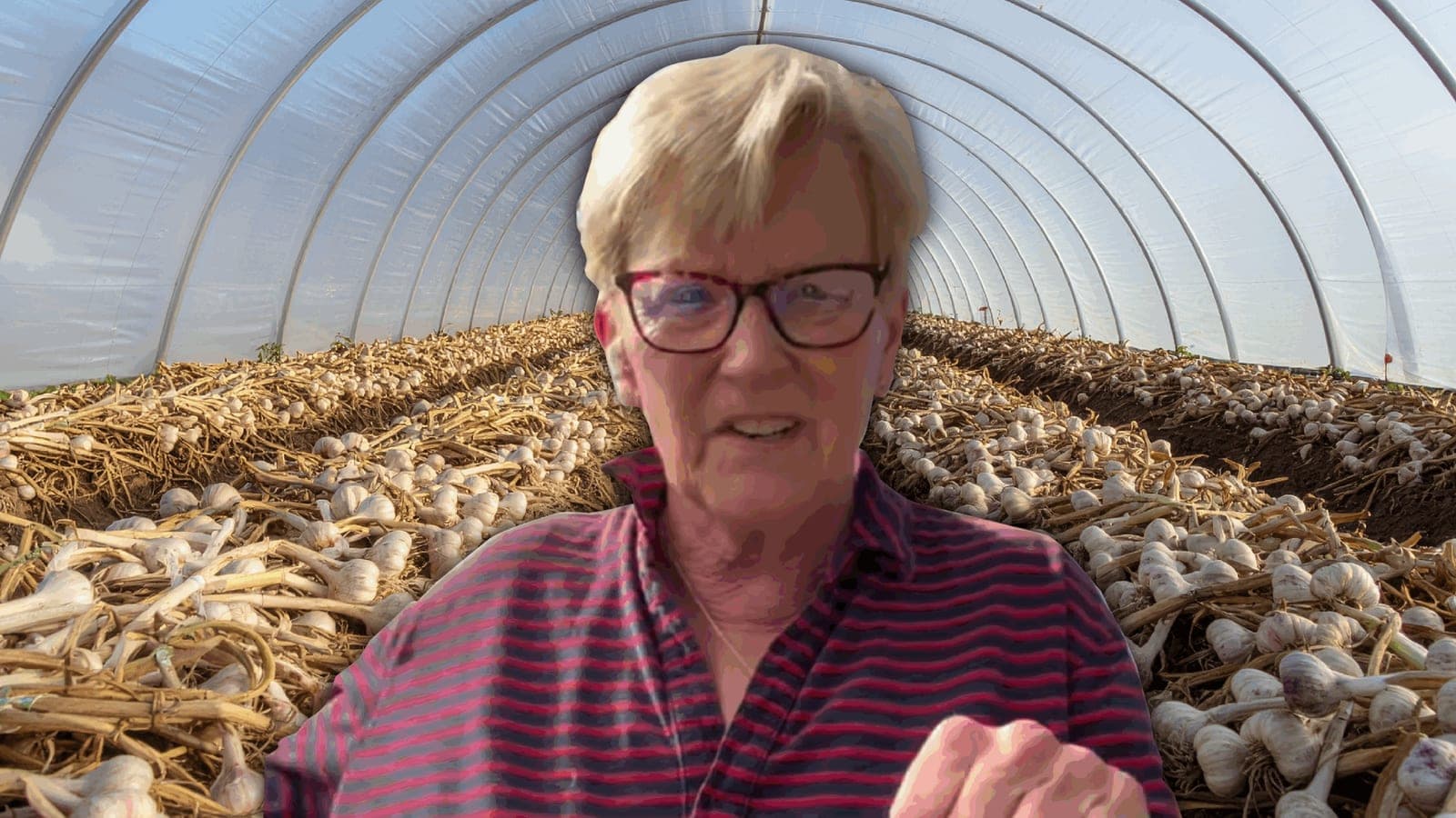 Chellie Pingree's Lonely Rejection of the Deal to End the Government Shutdown
