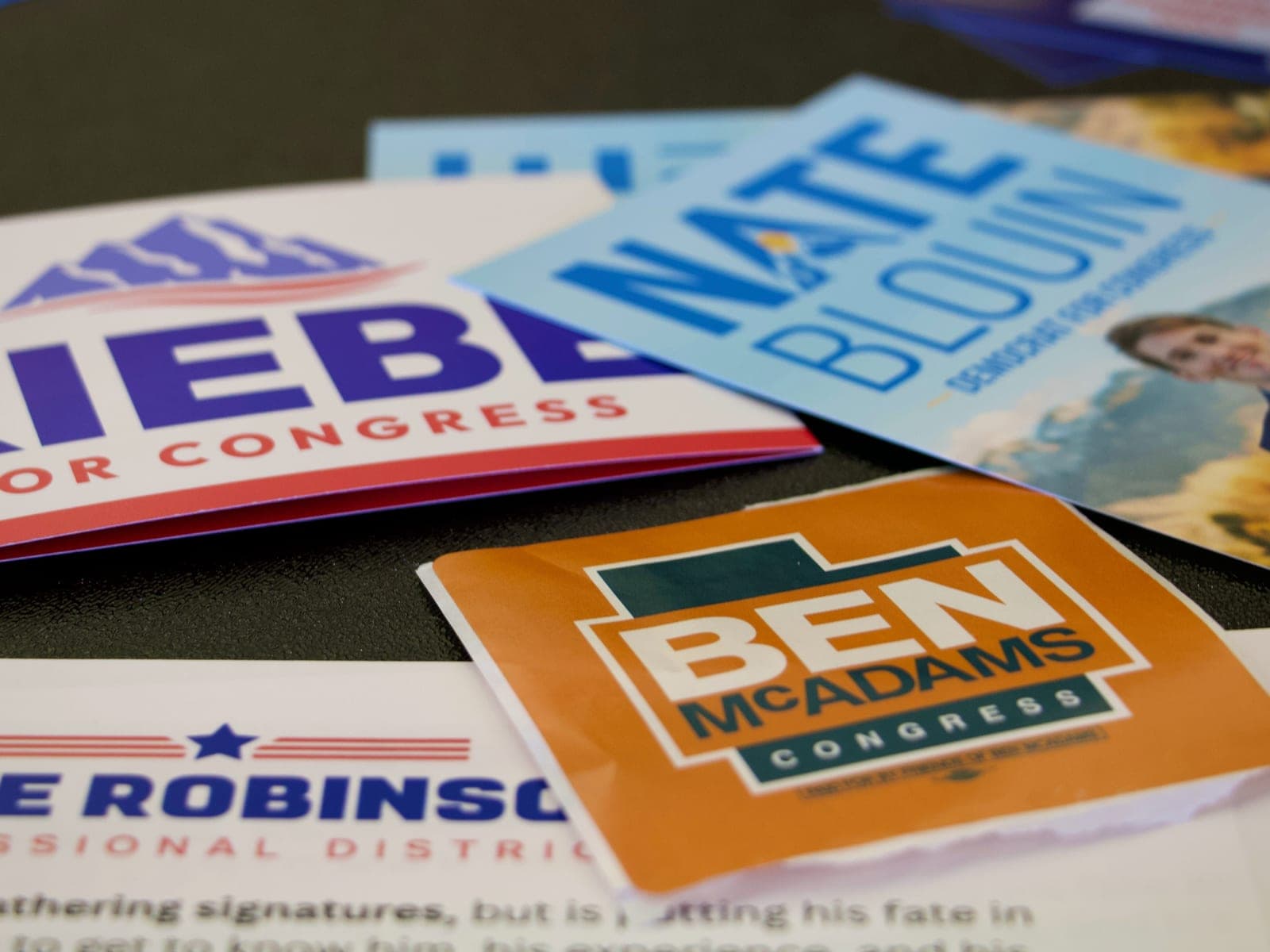 KUOW - Voters weigh what kind of Democrat they want for Utah's new, blue congressional seat