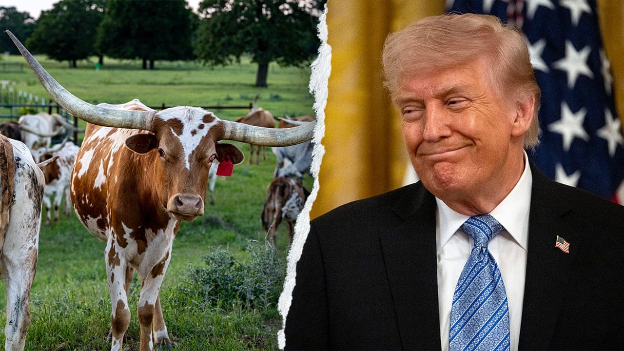 Trump says Texas Democrat 'can't get elected as a vegan' in Senate race