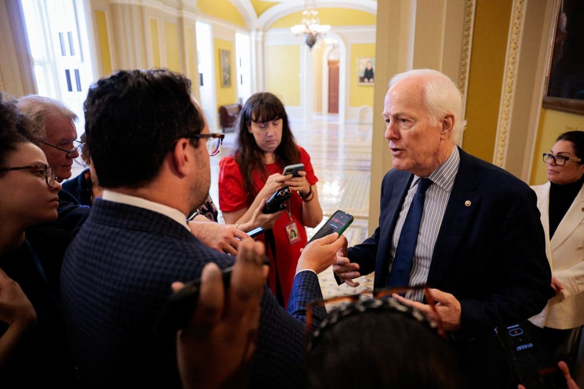 Trump 'seems to revel in chaos': Burned Republican senator unleashes on president