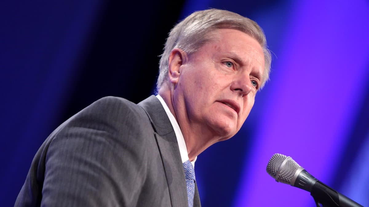 'Party of Donald Trump': Lindsey Graham reminds the GOP who runs the show, even though he once said 'count me out' on Trump on the Senate floor