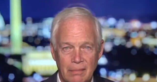 GOP Sen. Johnson: TSA Should Be Privately Contracted, Air Traffic Control Privatized