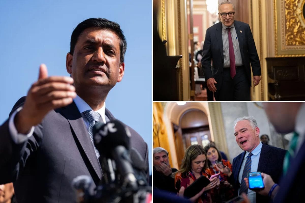 Khanna details 'final straw' involving 'out of touch' Schumer
