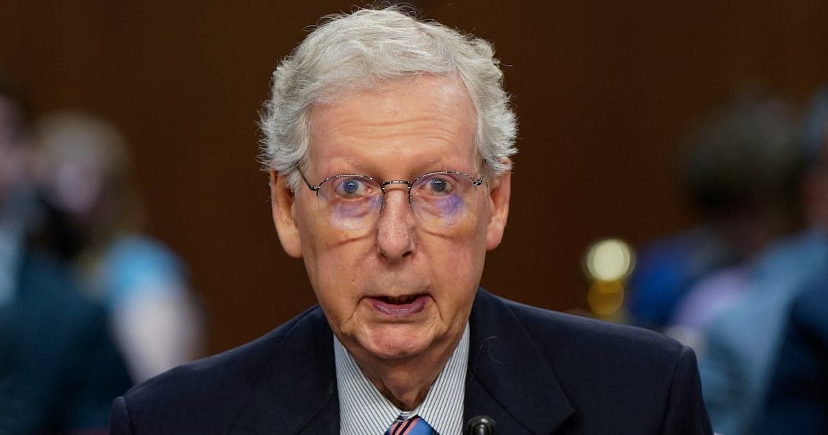 Missing Mitch's Aides Give Major Health Update After 53 Days
