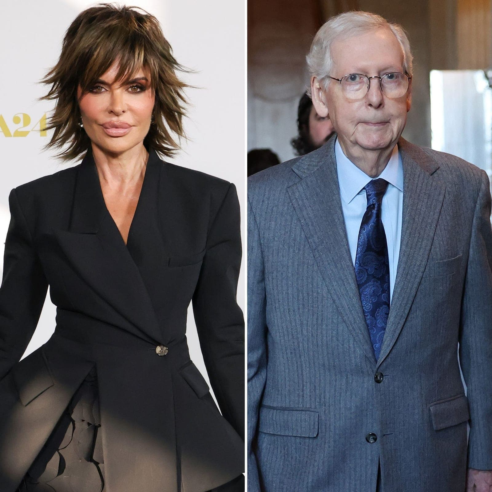 Lisa Rinna Compares Mitch McConnell to Weekend at Bernie's