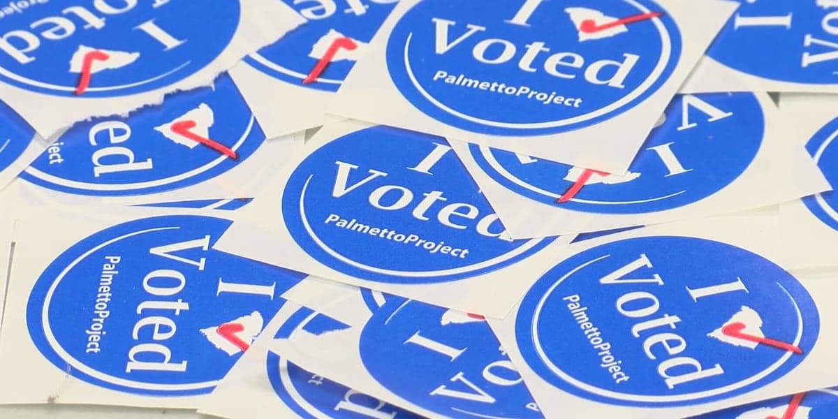 4 candidates set for South Carolina's US Senate race in November