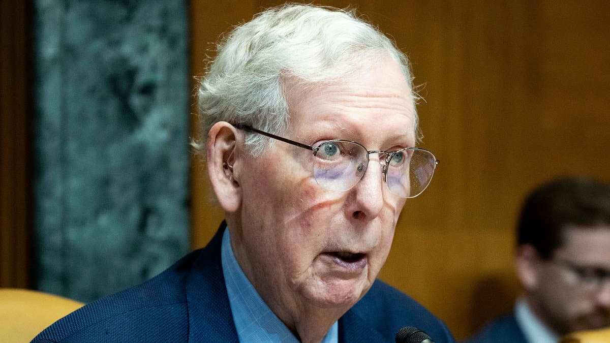 MAGA demands Mitch McConnell 'proof of life' as wild rumor sweeps DC