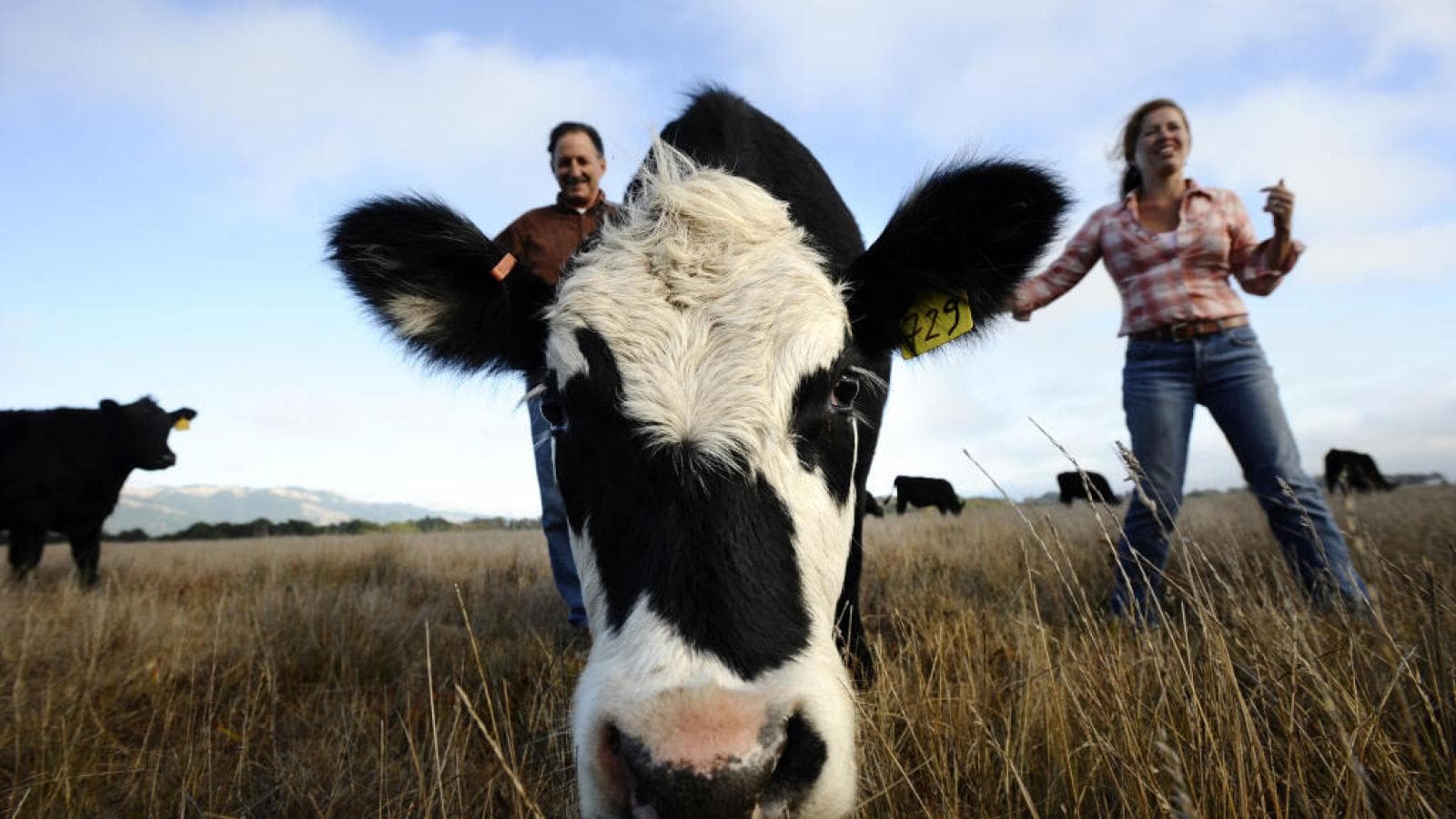 Marin rancher challenges Jared Huffman in race for Congress, making Point Reyes settlement new political flashpoint