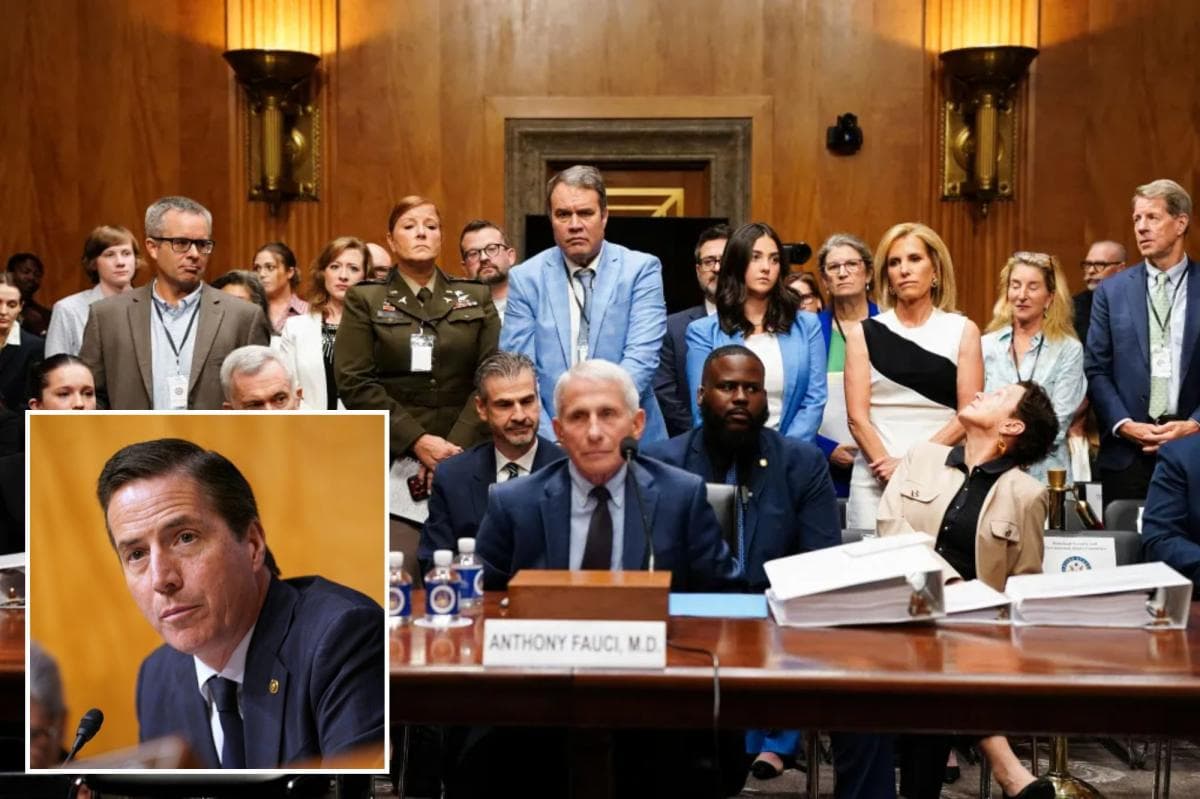 Bernie Moreno goes off on Fauci during Senate COVID hearing
