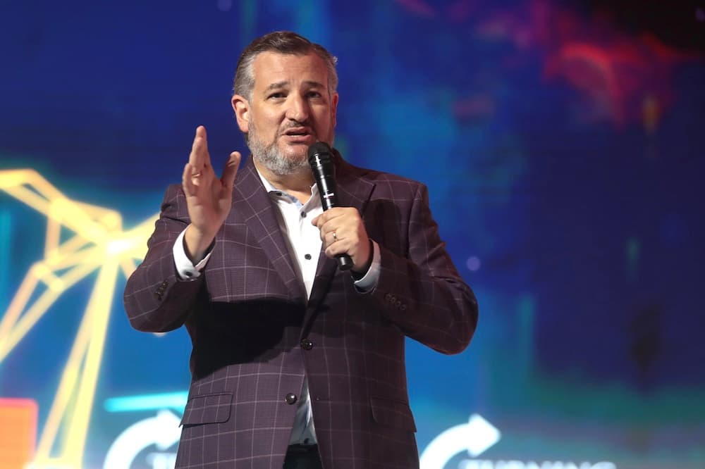 Lawmakers on both sides of the aisle skip out on Ted Cruz's hearing full of anti-Muslim conspiracies