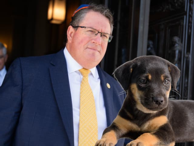 Rep. Fine to Introduce 'Protecting Puppies from Sharia Act' After Backlash Over Social Media Post