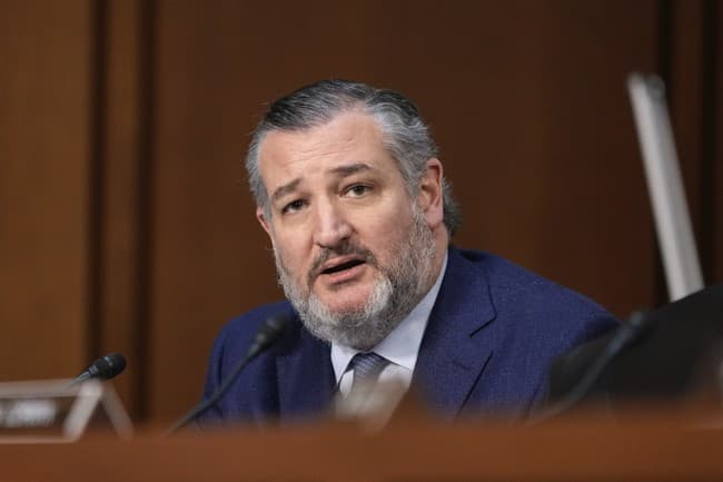 Ted Cruz Just Brought Abdul El-Sayed's Terror Organization Ties to Light Through Explosive Testimony