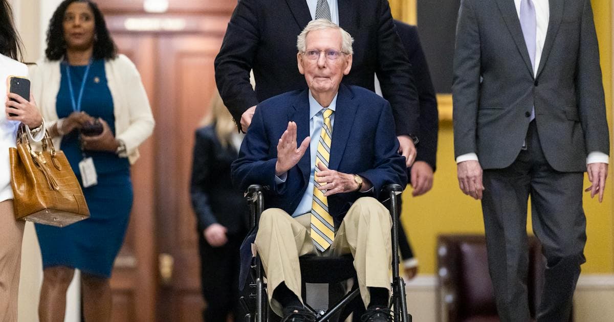 What's Up With the Bruises on Mitch McConnell's Hands?