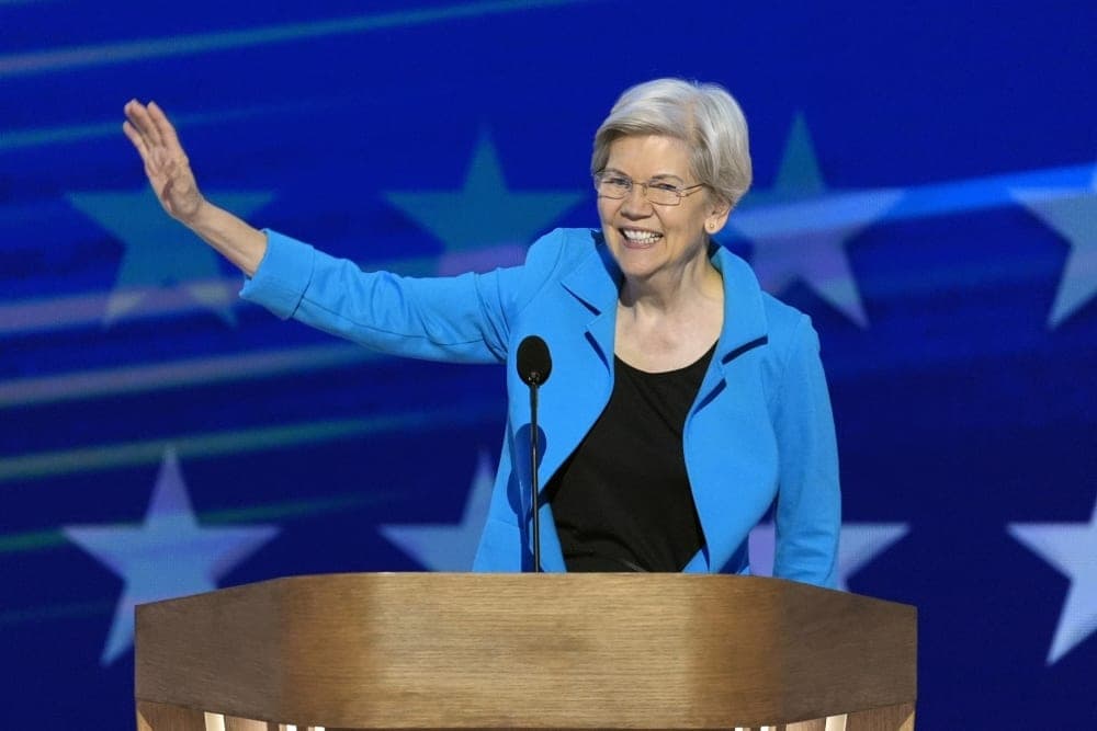 Elizabeth Warren backs Graham Platner in Maine's Senate primary