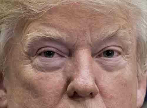 'This Maniac Should Be Removed': Tlaib Tells Trump Cabinet to Invoke 25th Amendment