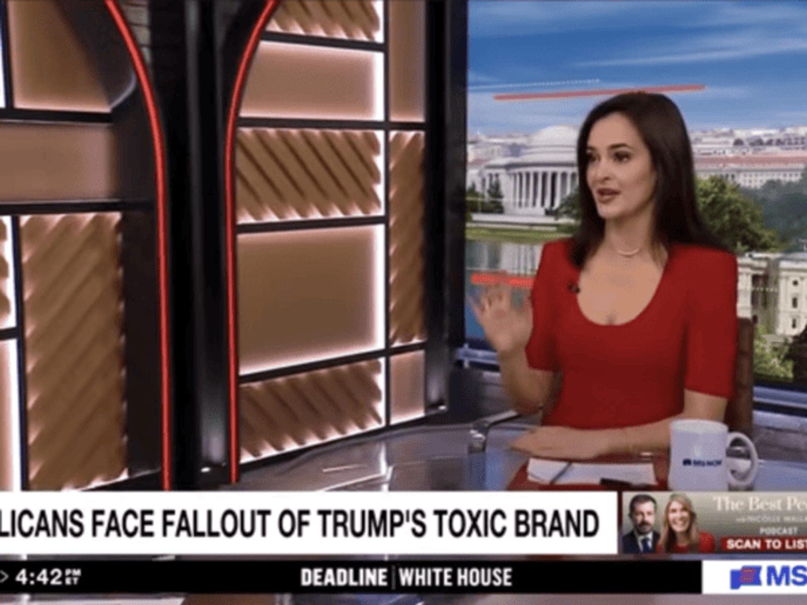 MAGA 'dam break' coming after candidate with 'morals of a lizard' rejected: strategist
