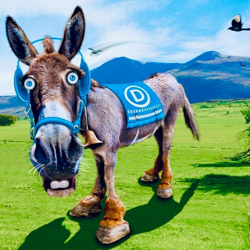Florida Democrats Pick The DSA Candidate For Senate