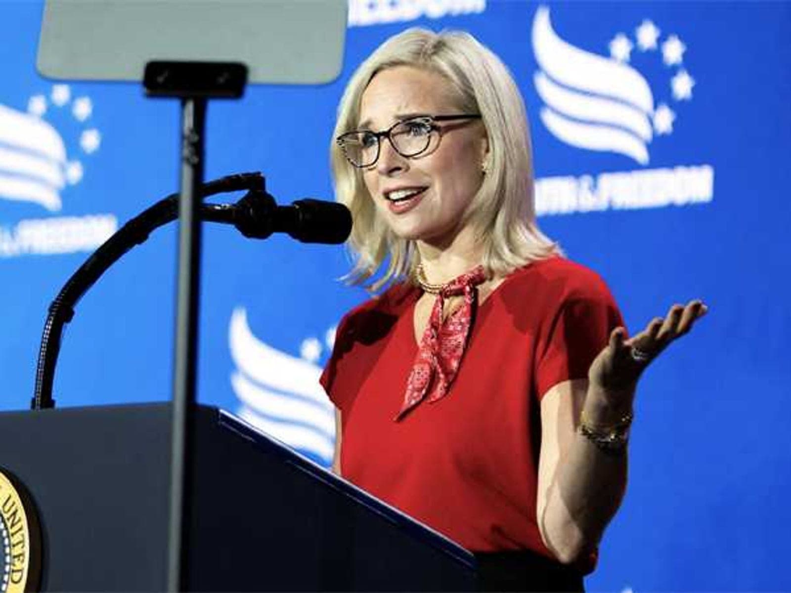 GOP candidate disputes 'shadow lobbyist' husband report: 'He works in our basement'