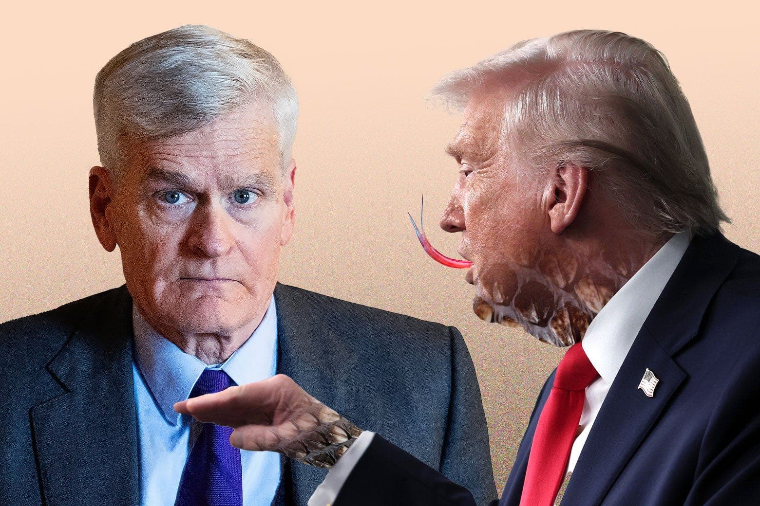 Donald Trump sabotaged Bill Cassidy. Here's why.