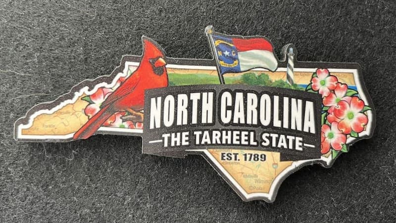 Election 2026: Cooper, Whatley charge into U.S. Senate matchup
