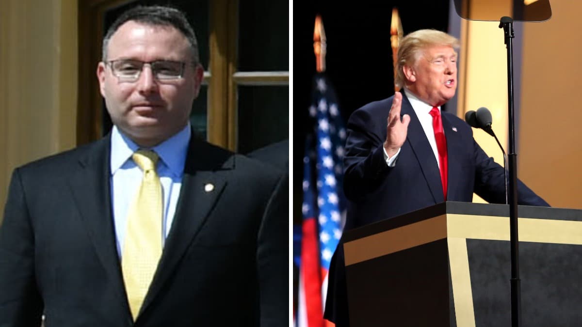 What was Trump's reaction to Alex Vindman's loss in Florida Democratic primary?