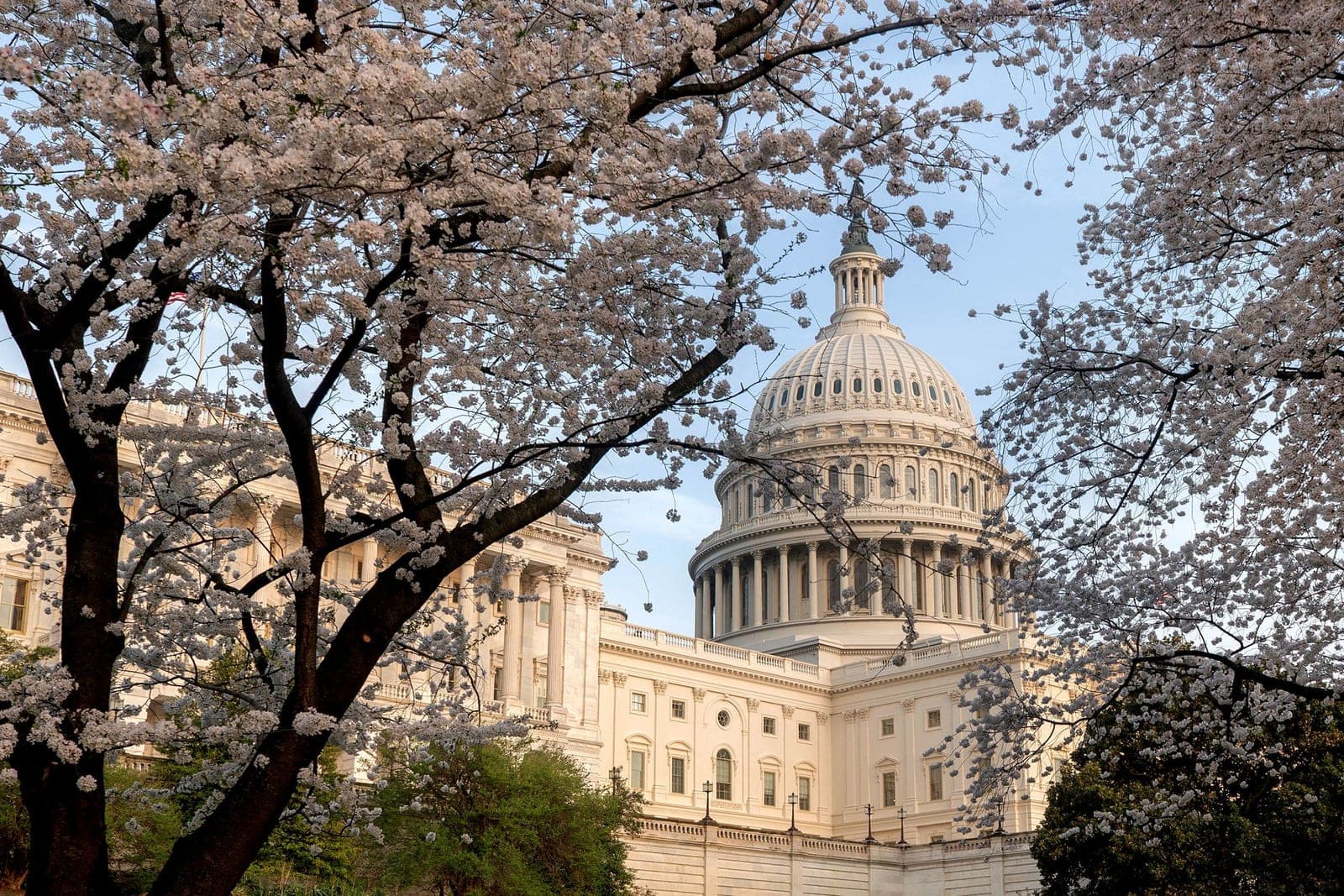 GOP leaders declare path to end DHS shutdown — but enormous hurdles remain
