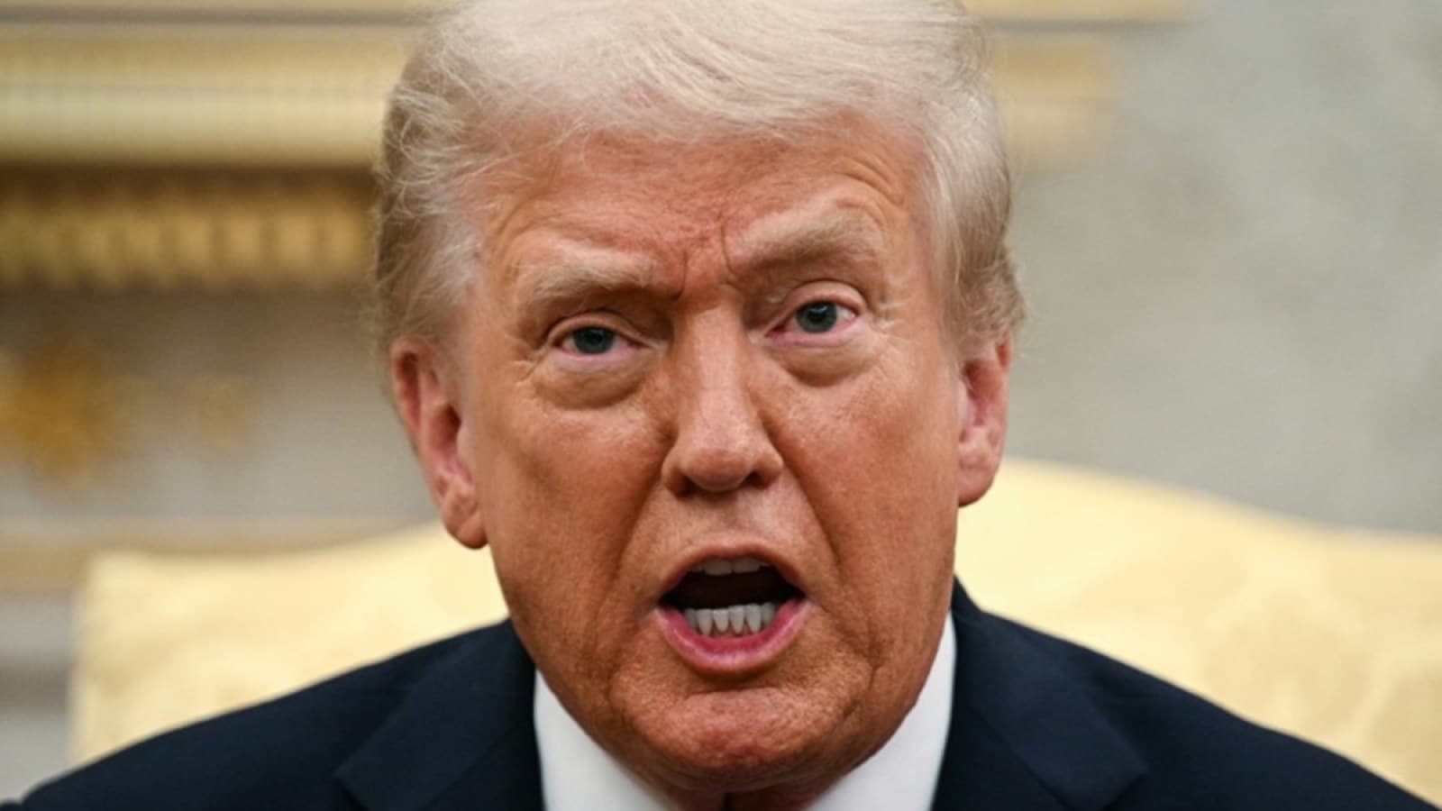 Donald Trump Blasts 'Loser' Jimmy Kimmel Over Markwayne Mullin 'Plumber' Jab