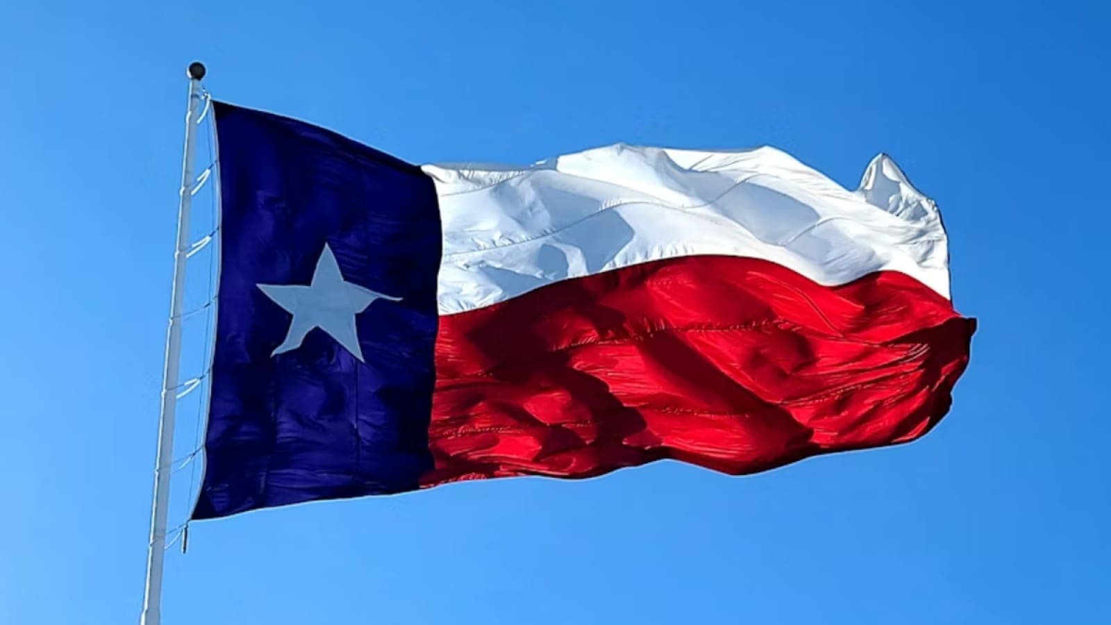 Texas Primary Election 2026: Talarico Pulls Ahead of Crockett in Tight Democratic Senate Race, Cornyn vs Paxton Heats Up