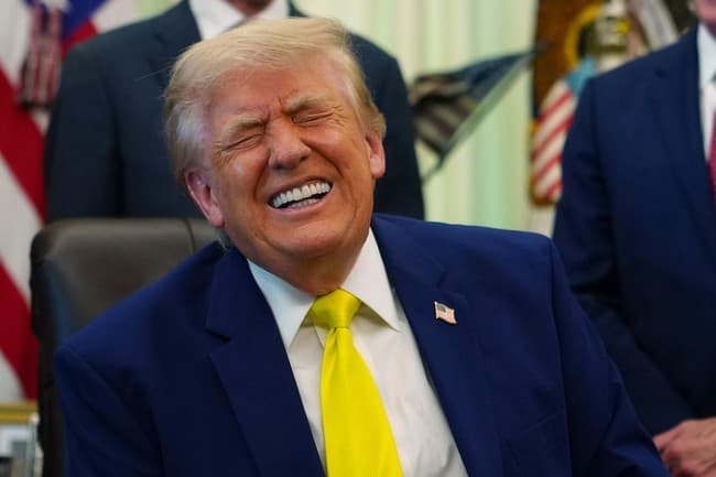 Trump Is About to Have His Cake and Eat It, Too, Thanks to John Cornyn and Thom Tillis
