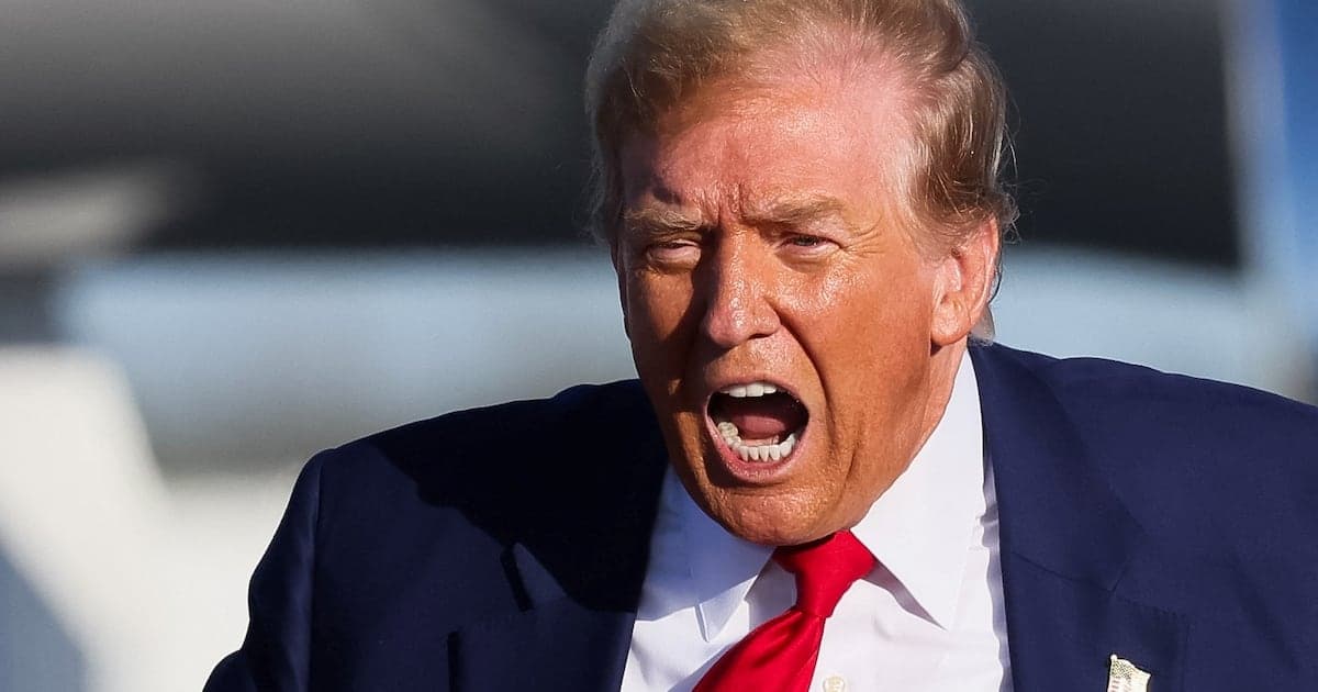 MAGA Target Ilhan Omar Calls for 'Creepy' Donald Trump to Get Help After Jaw-Dropping Rant