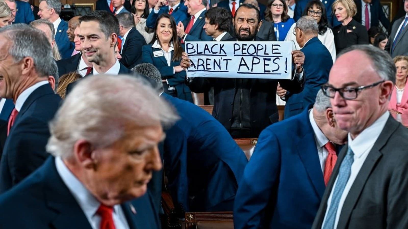 Democrat Al Green Escorted Out After 'Black People Aren't Apes' Protest at Trump State Of The Union