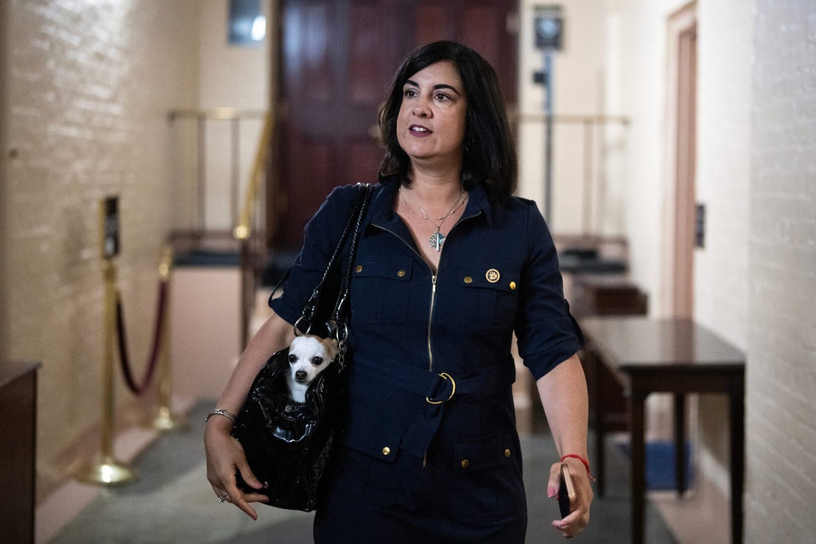 Rep. Malliotakis asks Supreme Court to halt redraw of district