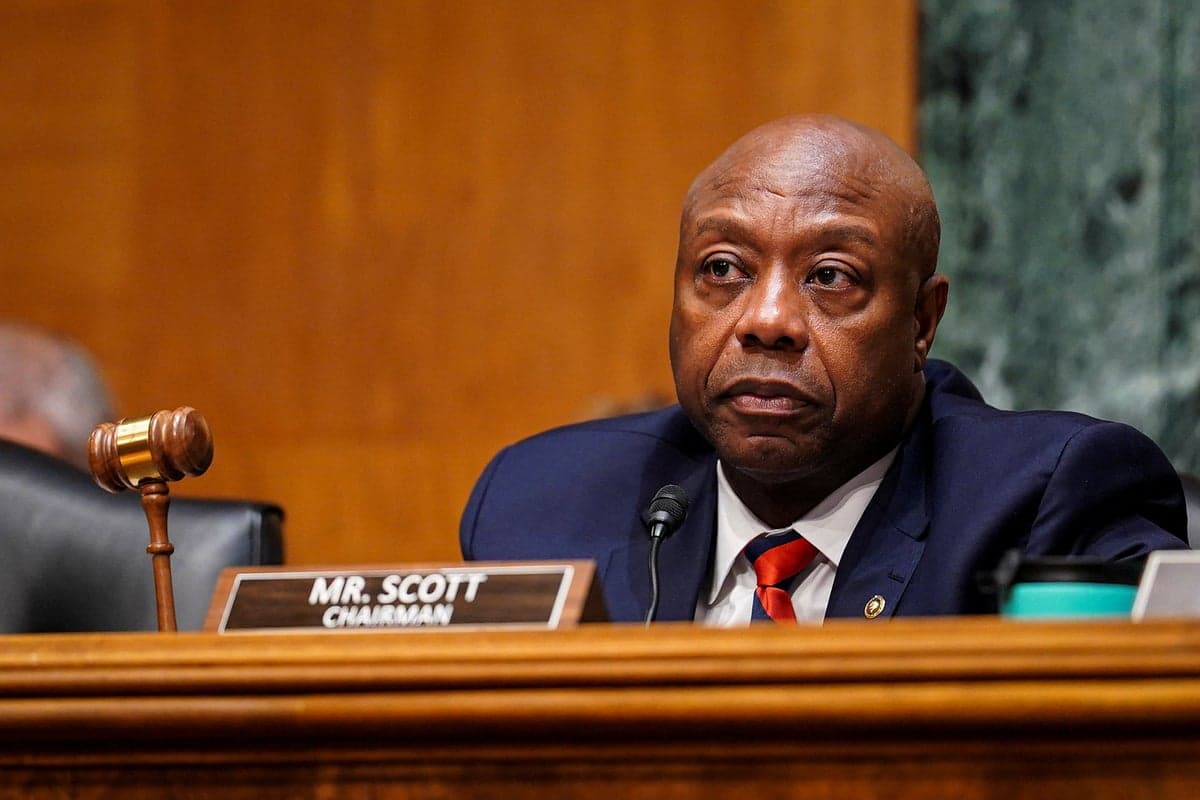 Trump ally pressed on Obama and El-Sayed trend: 'Trying to say, hint hint, he's Muslim?'