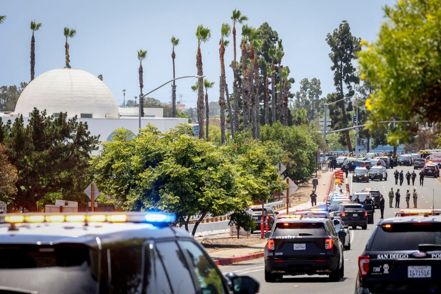 Trump's influence tested in Kentucky and San Diego mosque shooting suspects identified: Morning Rundown