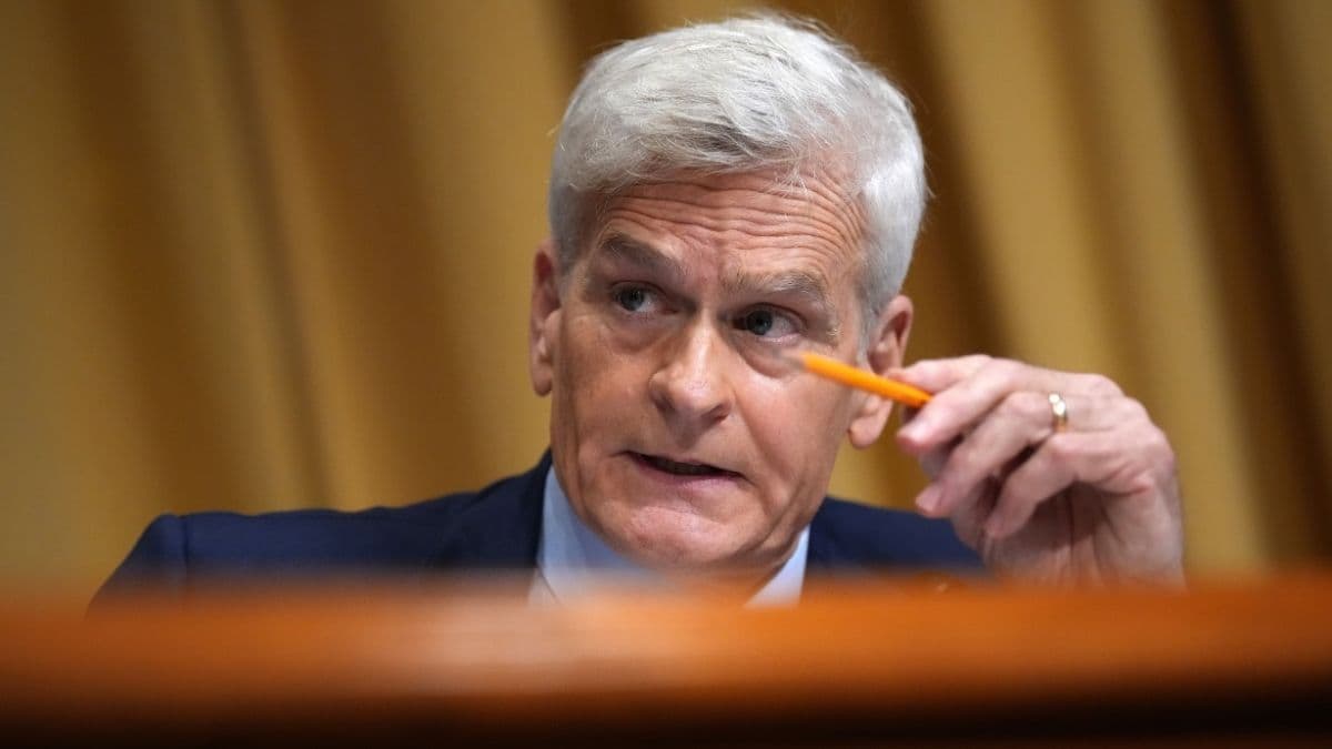 Donald Trump's GOP Lunch Erupts Into Shouting Match With Bill Cassidy