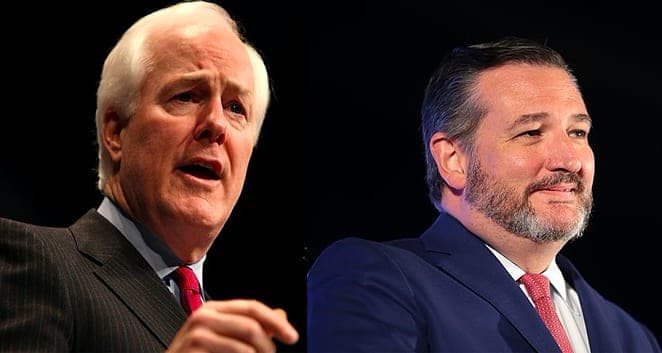 Sens. John Cornyn and Ted Cruz of Texas vote against extending ACA tax credits