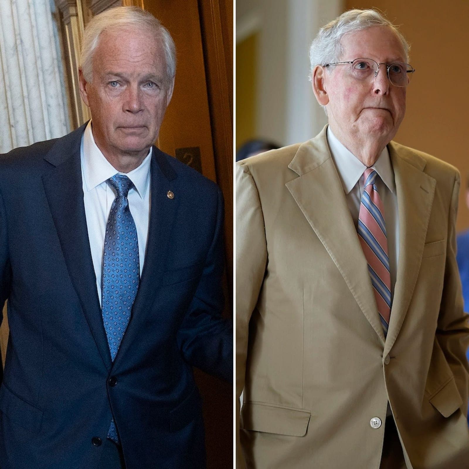 Sen. Ron Johnson Makes Shock Claim About Mitch McConnell