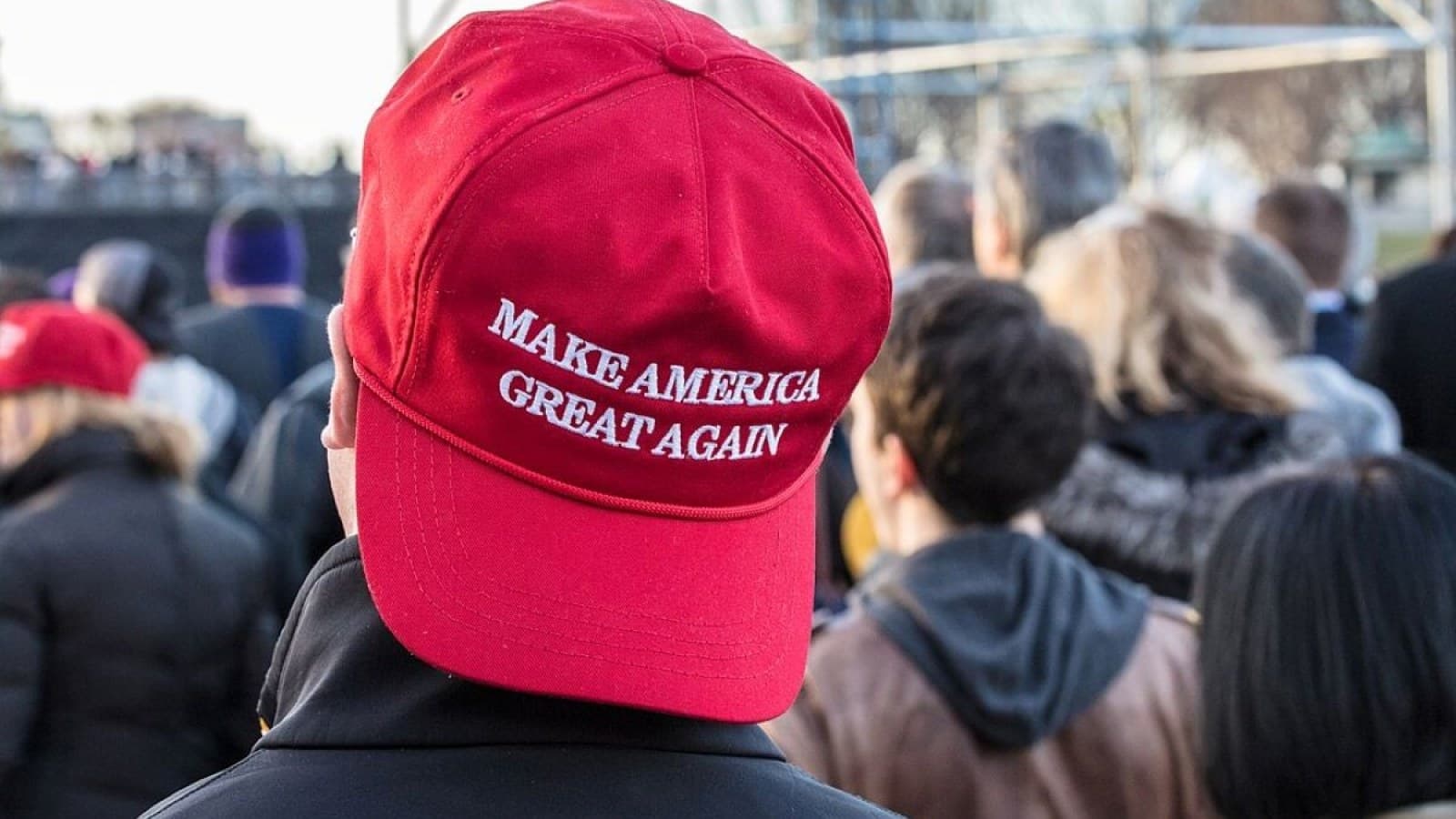 MAGA Men Branded 'Cucked' Trump Worshippers After Bill Cassidy Backs Todd Blanche for Attorney General