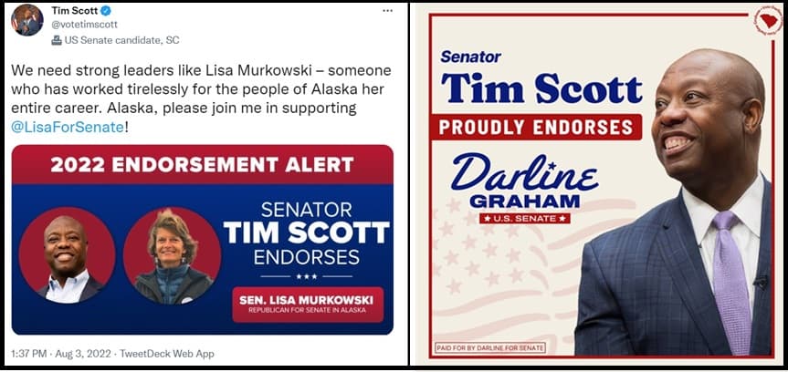 The Southern Murkowski Wins SC Primary - Heads into Runoff Against Ralph Norman